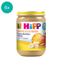 6x HIPP Fine Bircher muesli