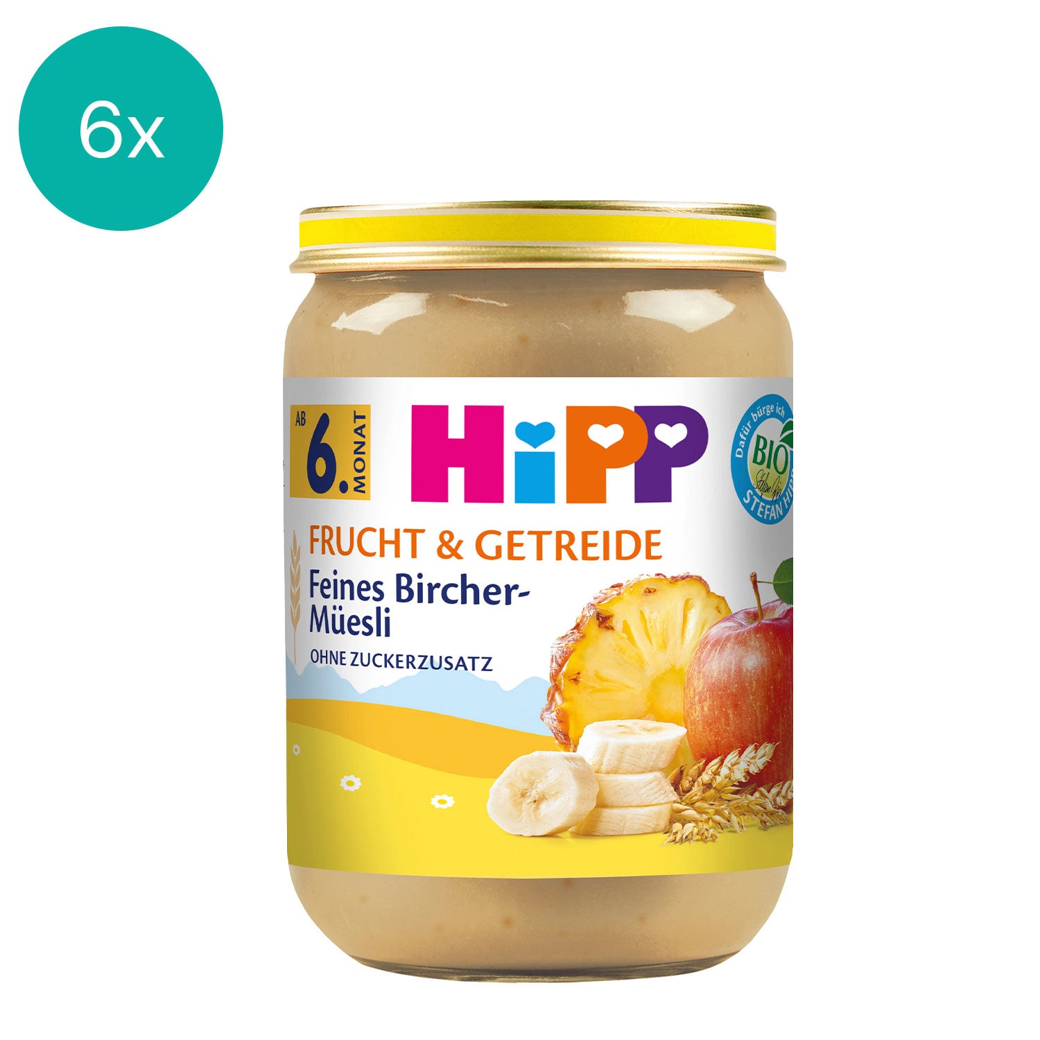 6x HIPP Fine Bircher muesli